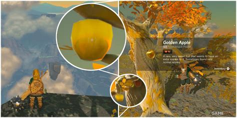 Zelda: Tears of the Kingdom Golden Apple Recipe List